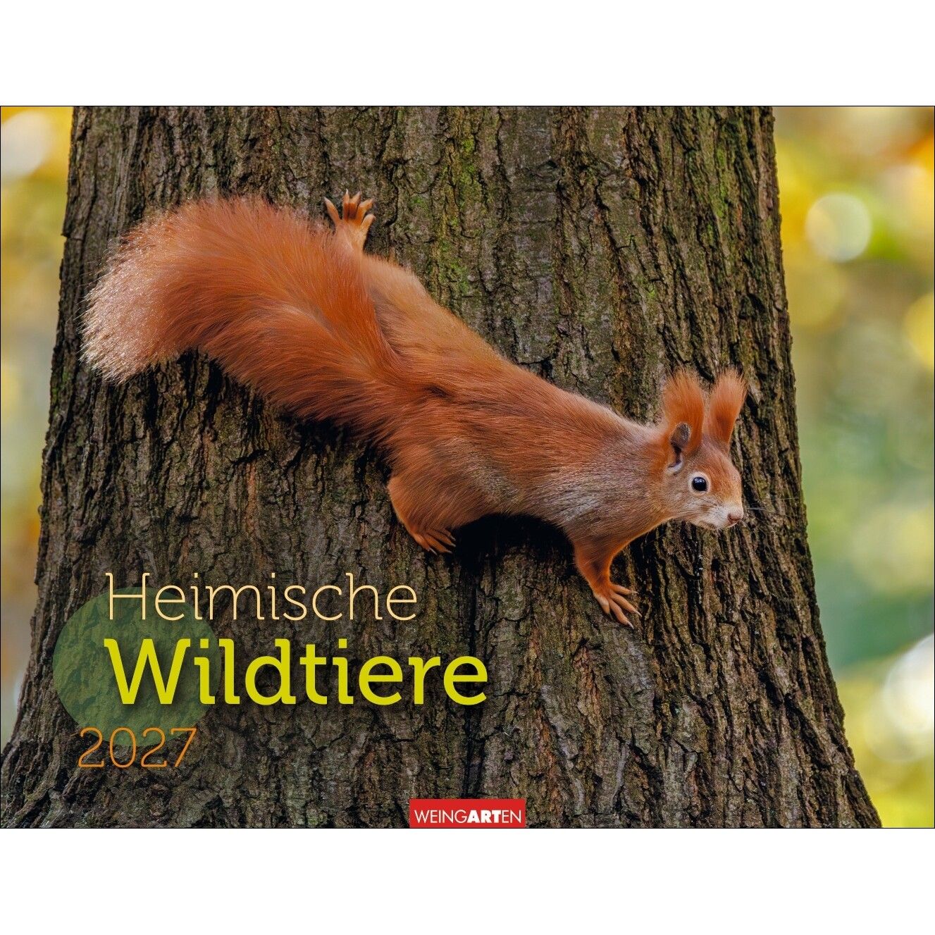 Heimische Wildtiere - Landschaft & Natur Kalender-110