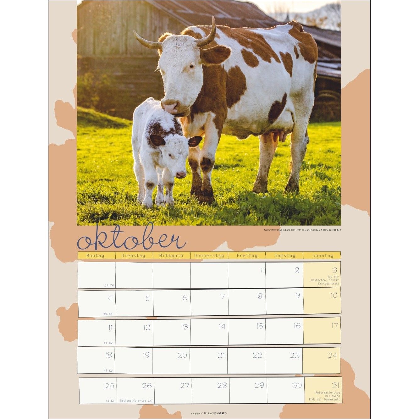 Kuh Kalender-805
