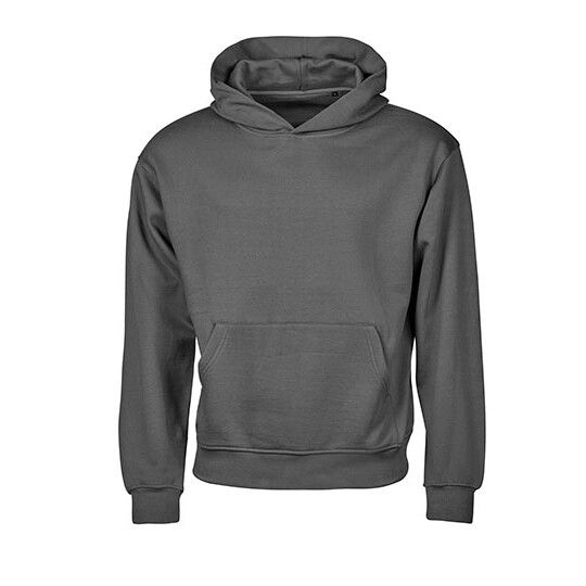 UNLABELED Heavy Loose Fit Hooded Sweatshirt - powder grey-671