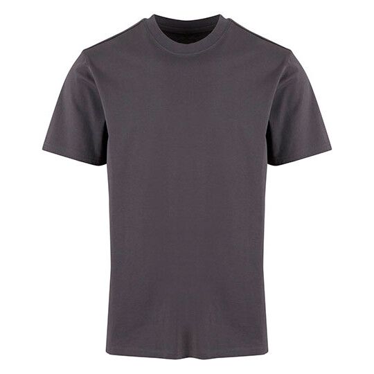 Basic Regular Fit Tee - magnet-540