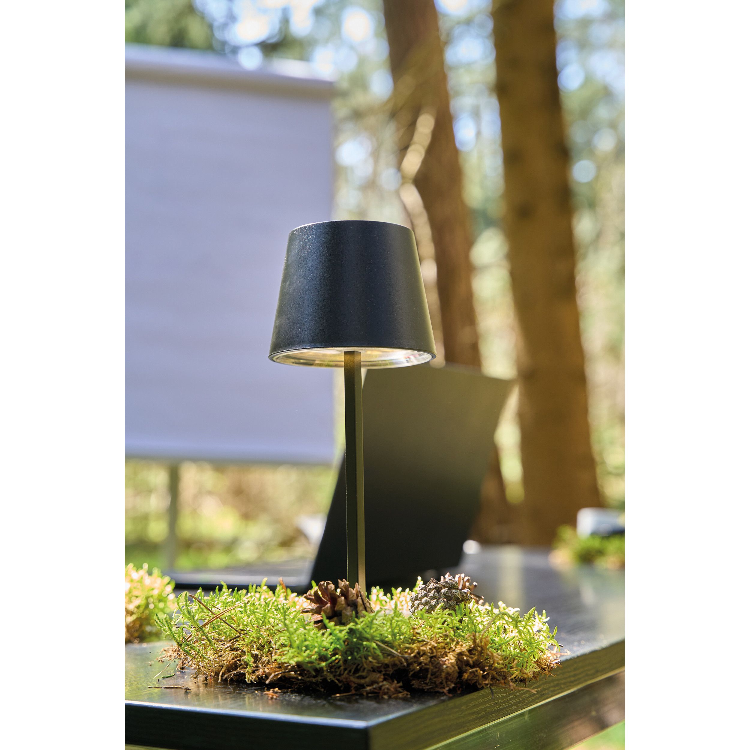 Tischlampe Montes Claros - schwarz-739