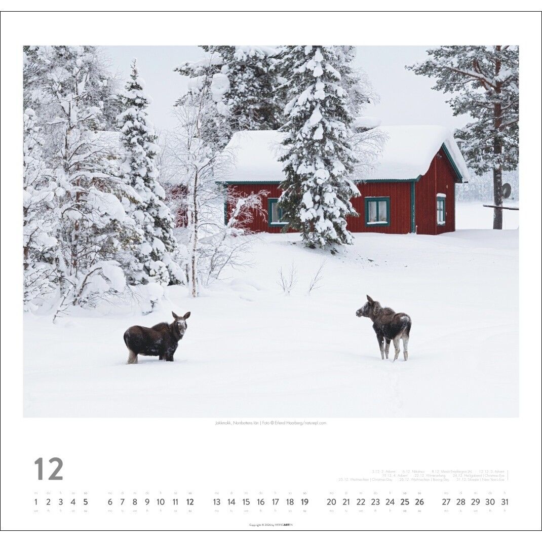 Schweden - Reise & Städte Kalender-629