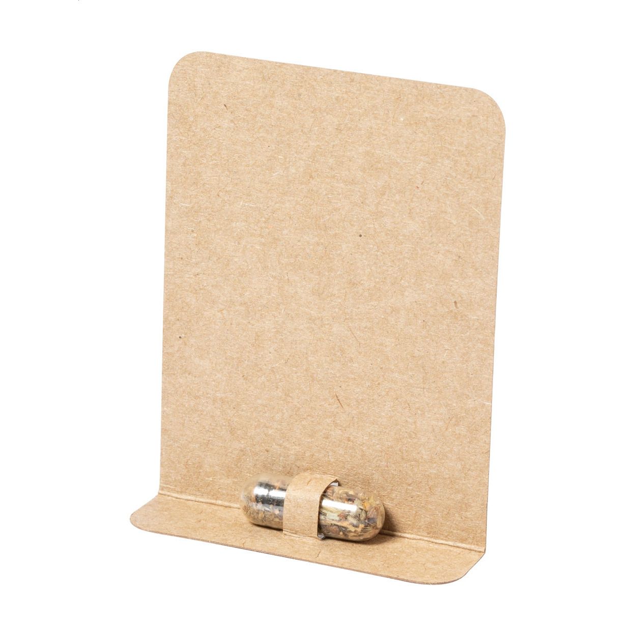 Pflanz-Set Biyok - natur-388
