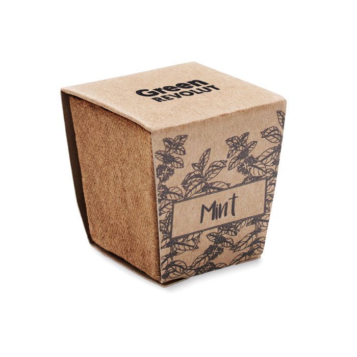 Pflanz-Set Minze MINT KIT - beige-202