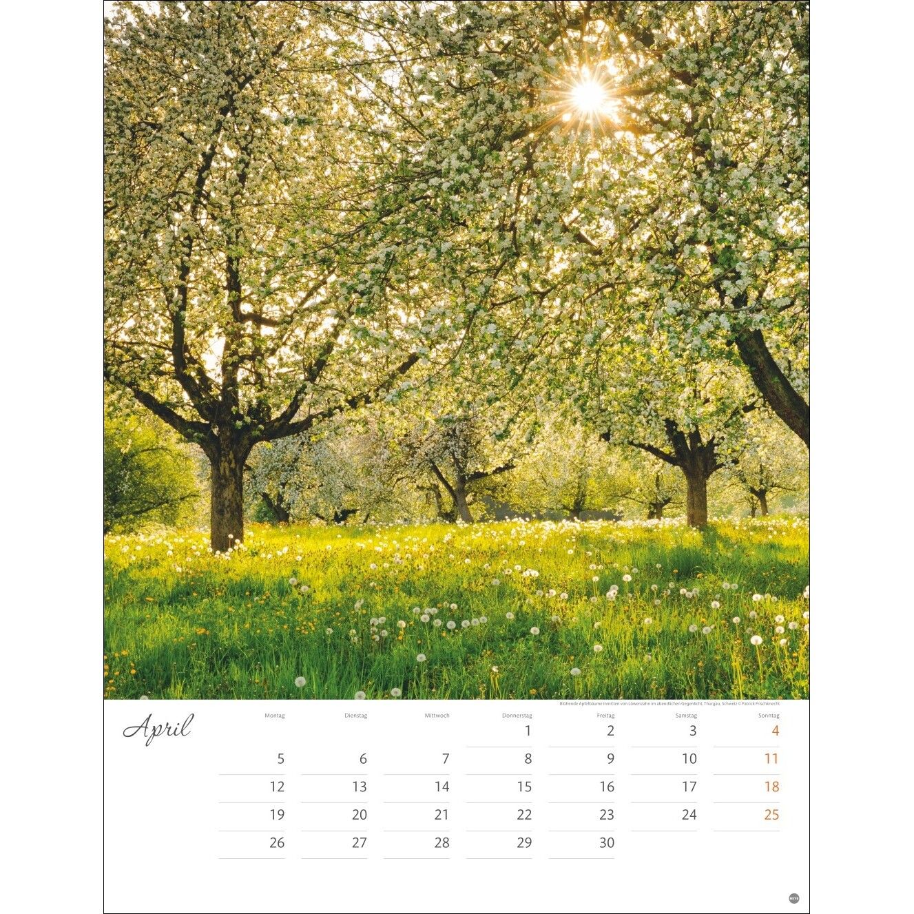 Jenseits der Hast Posterkalender-277