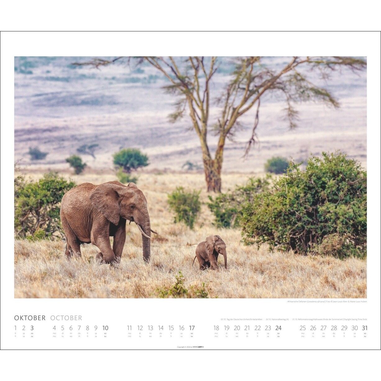 African Wildlife - Tiere  Kalender-17