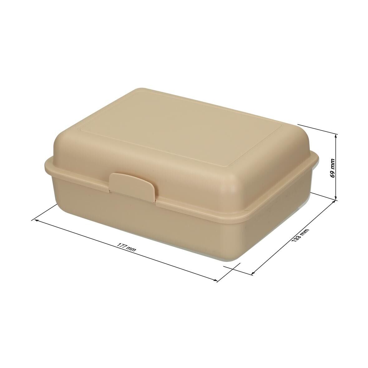 Bio-Vorratsdose School-Box groß - aprikose-186