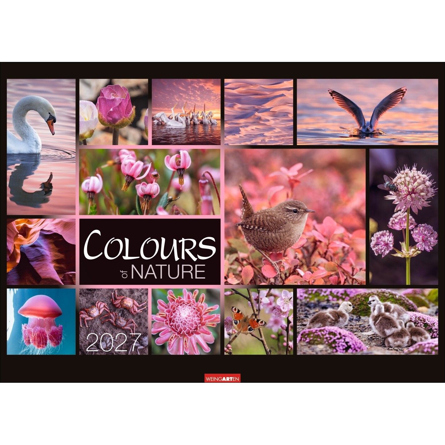 Colours of Nature - Landschaft & Natur Kalender-647