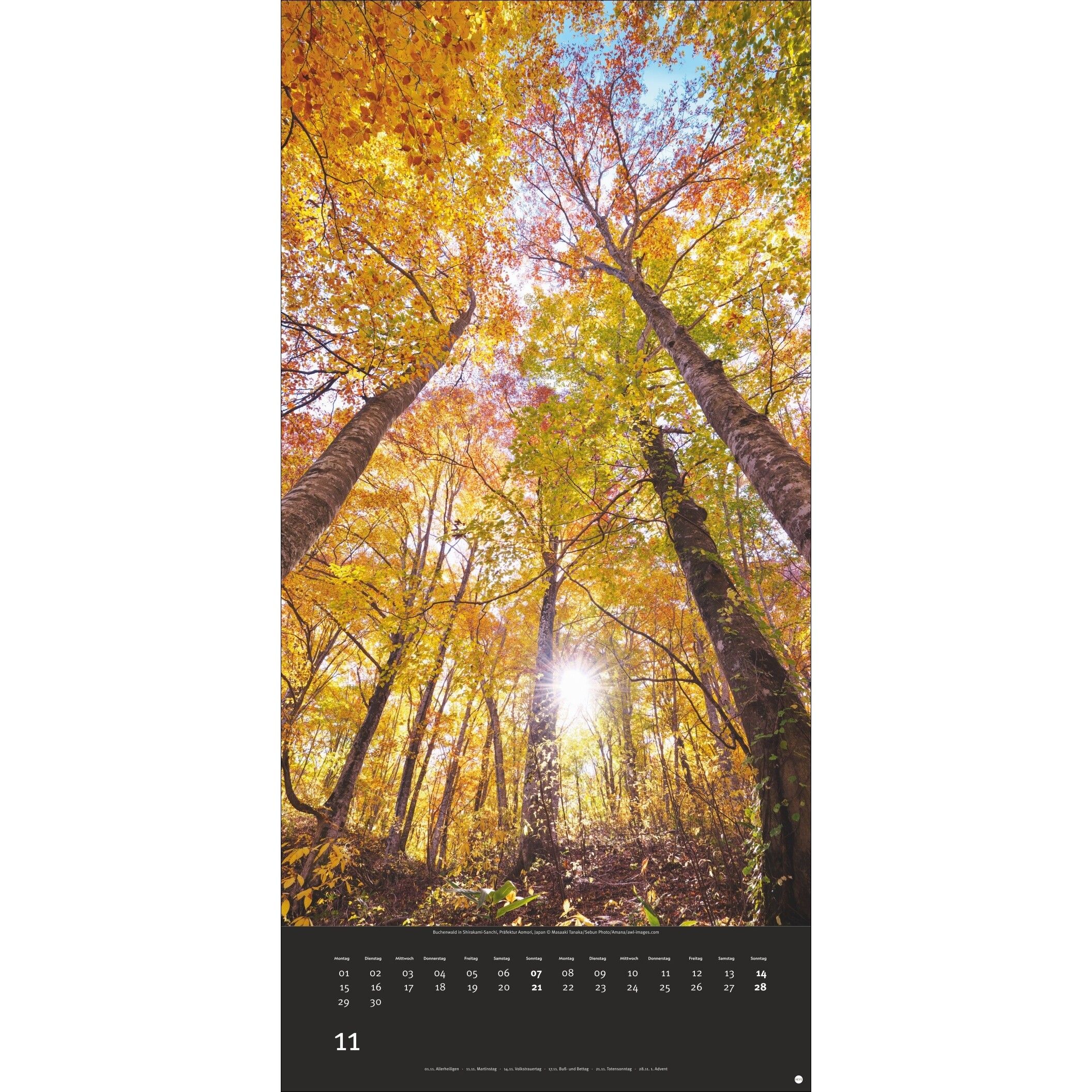 AvH Colourful Nature - Landschaft & Natur Kalender-632