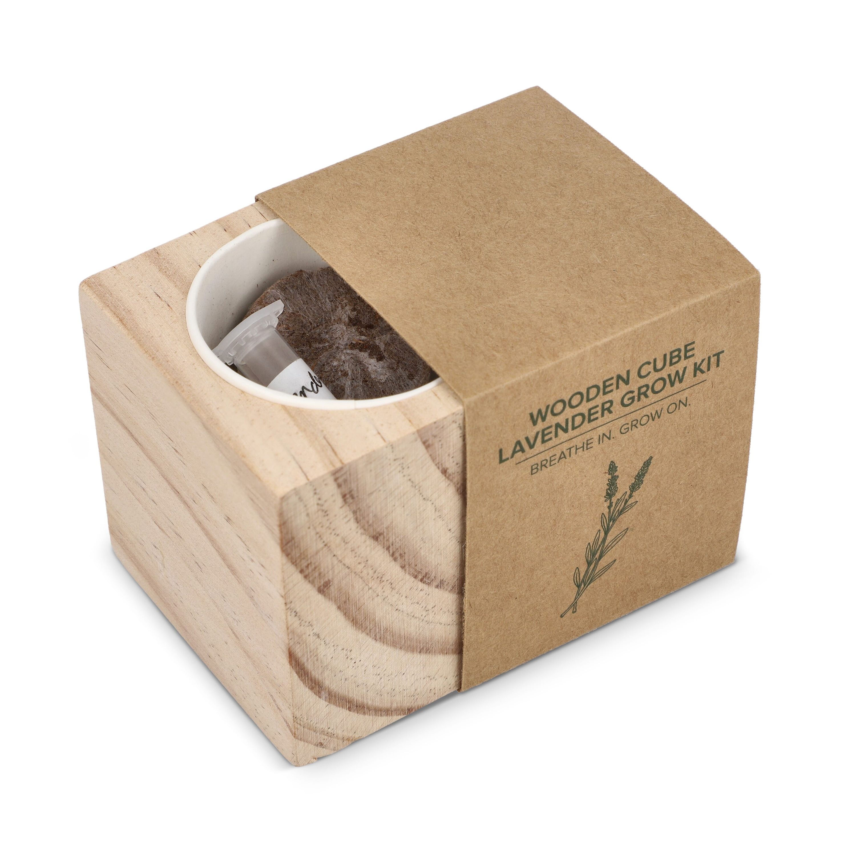 FSC-Holzpflanzgefäß-Set – Lavendel - natur-431