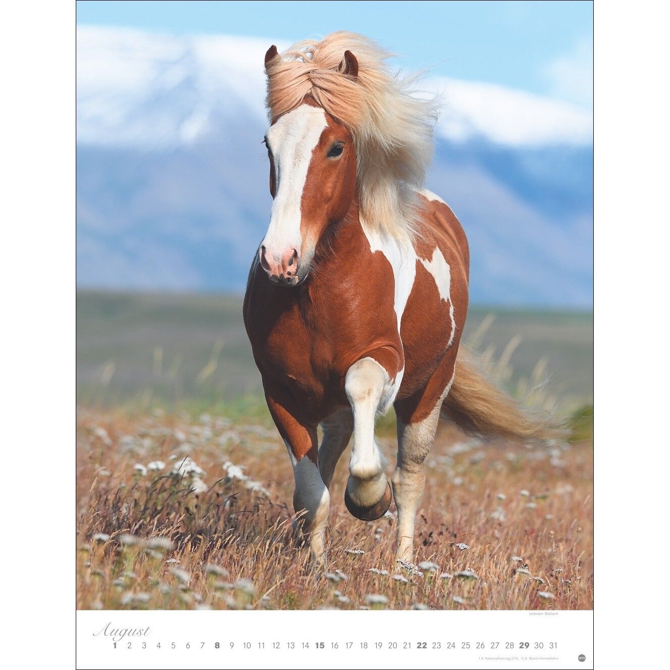 Pferde Classics Posterkalender-781