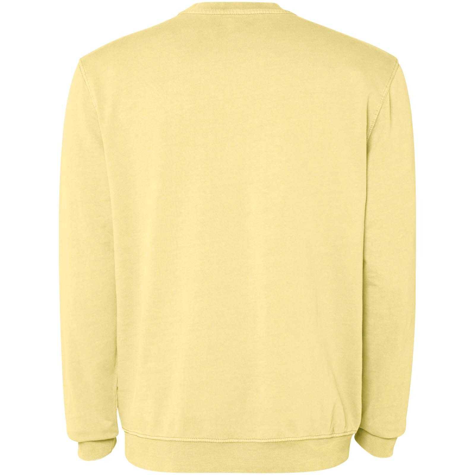 Jaya Pullover mit Rundhalsausschnitt   - gelb - 2XL-895