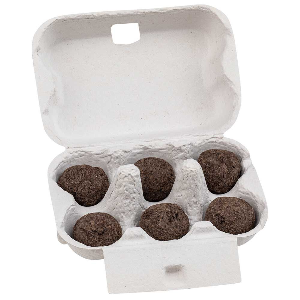 Sixpack - Flower-Balls Midi mit Samen mit Samen-65