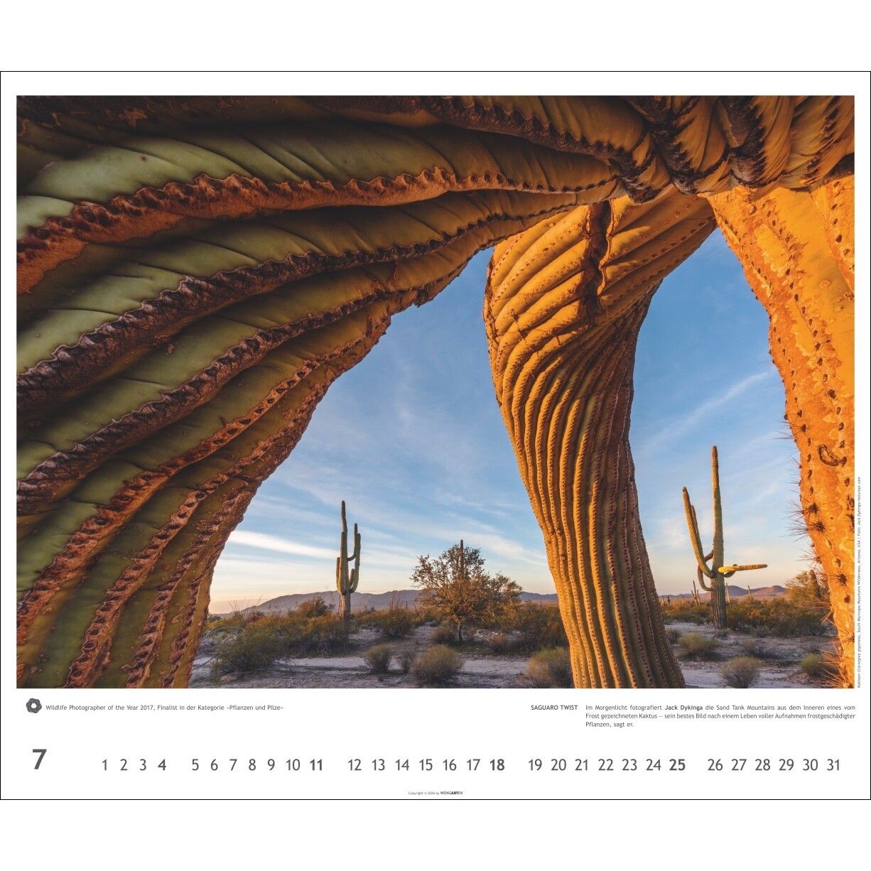 Meisterwerke der Natur - Landschaft & Natur Kalender-916