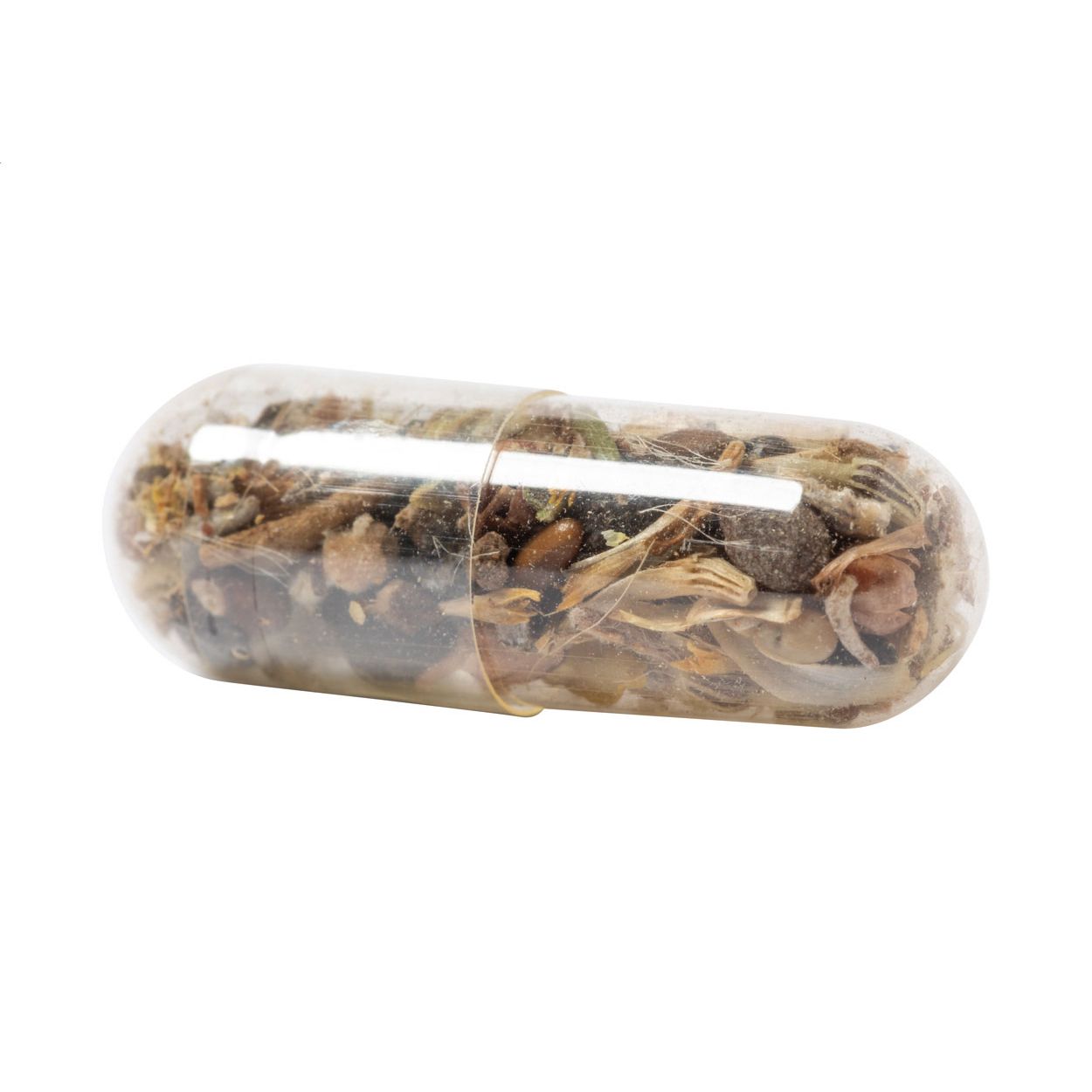 Pflanz-Set Biyok - natur-155