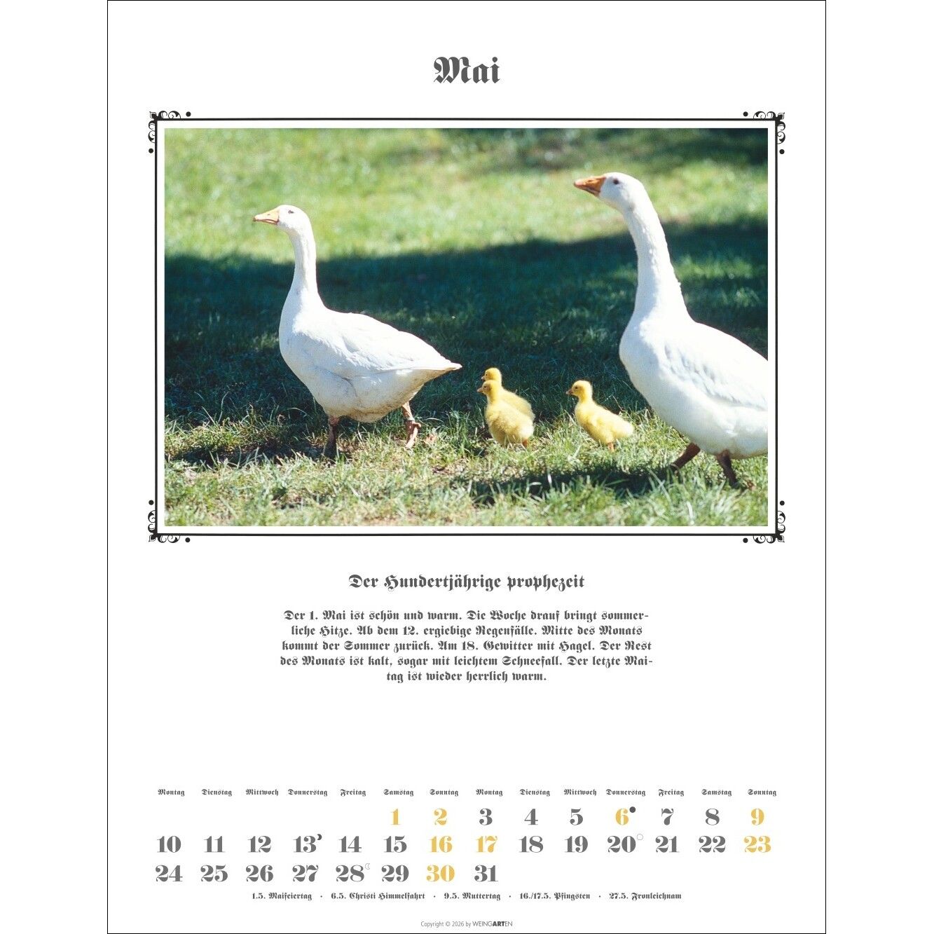 Der Hundertjährige Kalender-248