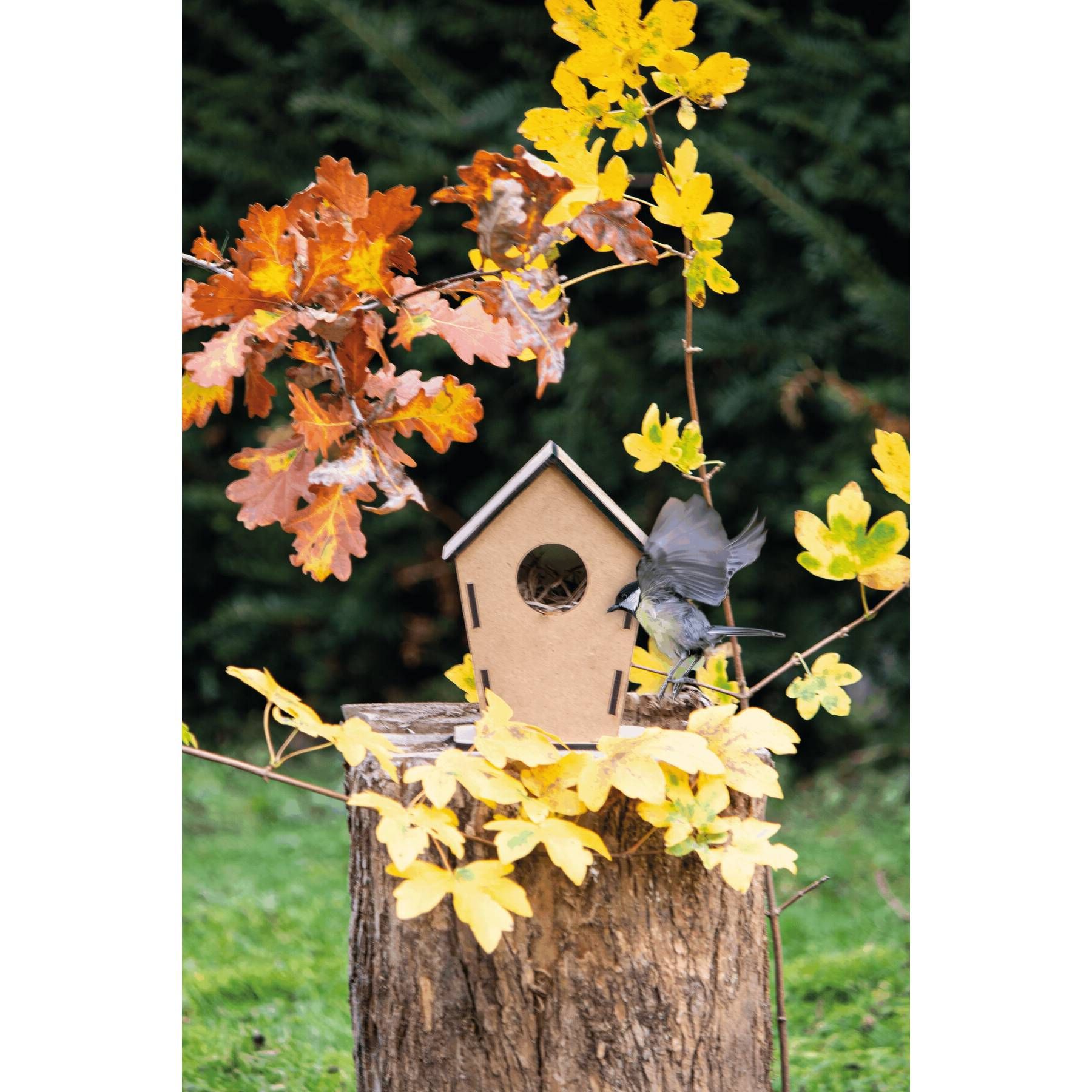 Vogelhaus ECO HOME - Holz-622