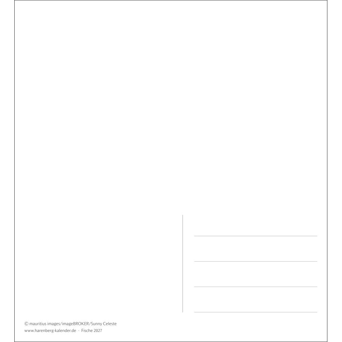 Fische Postkartenkalender-766