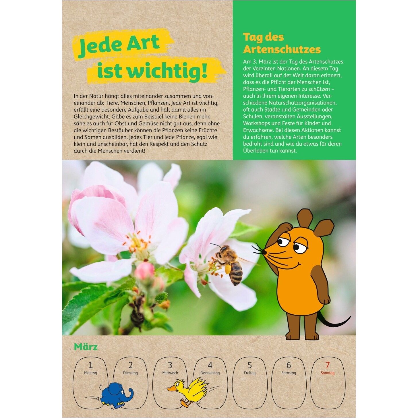 Schütze die Erde mit der Maus - Kinder Kalender-532