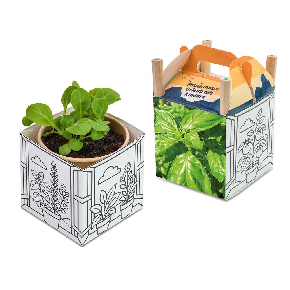 Color & Grow House - Ostern - Basilikum-398