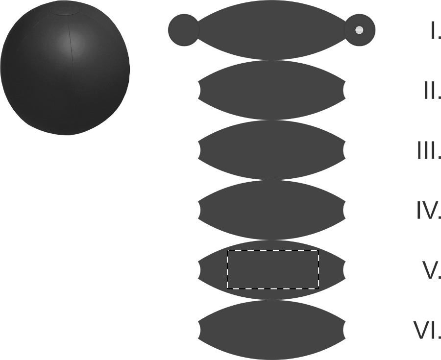 Veredelungsposition Segment 5