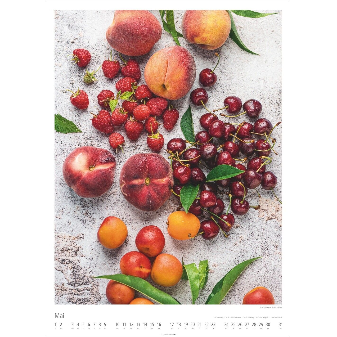 Food Gallery - Küche & Lifestyle Kalender-417
