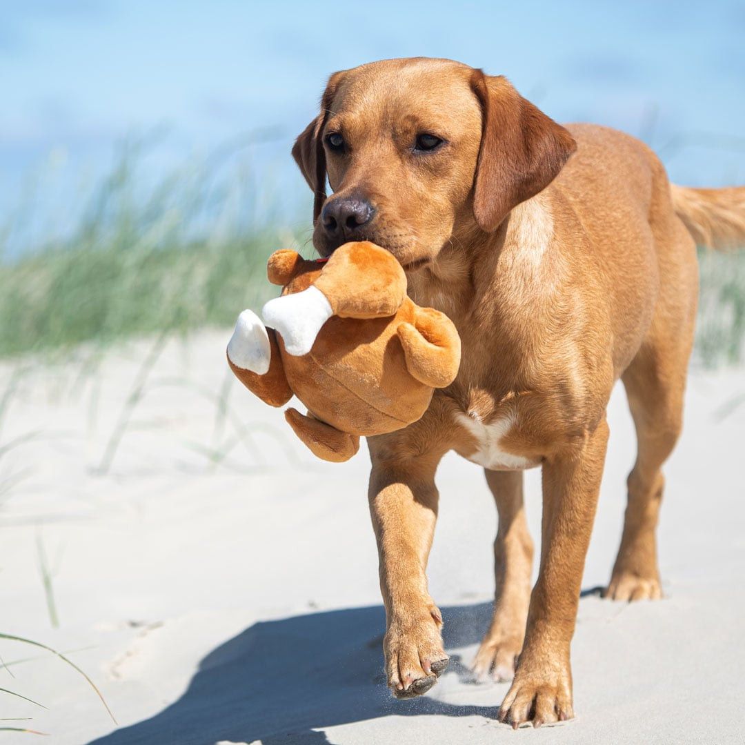 MiniFeet® Hundespielzeug Hähnchen - braun-913