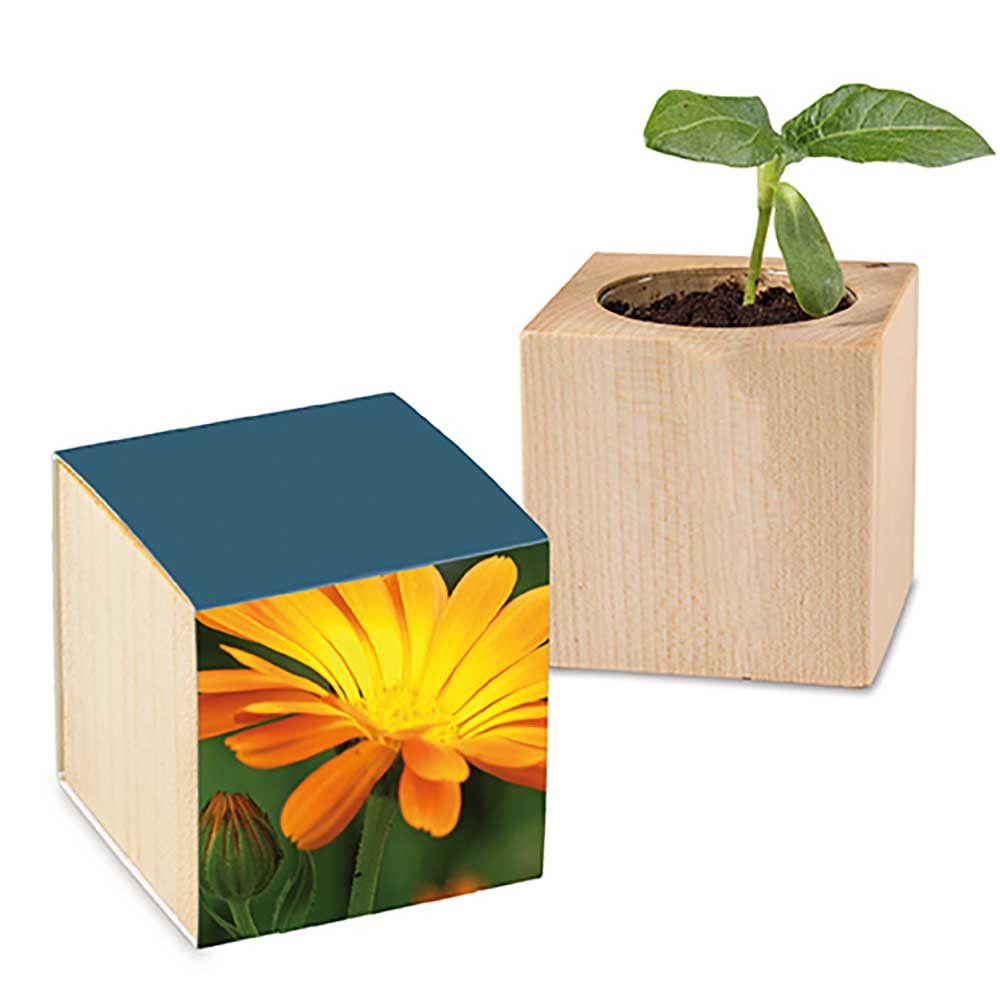 Pflanz-Holz mit Samen - Ringelblume, 2 Seiten gelasert-932