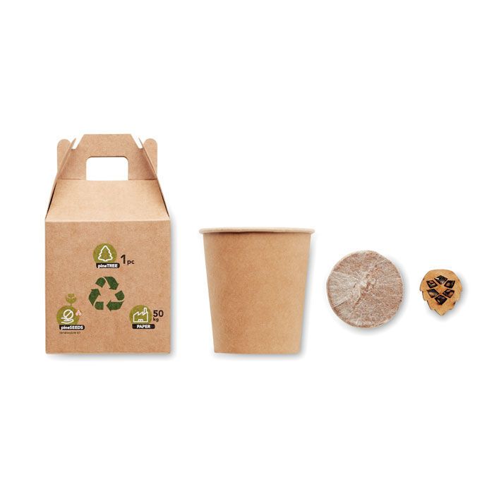 Kiefernsamen-Set GROWTREE™ - beige-317