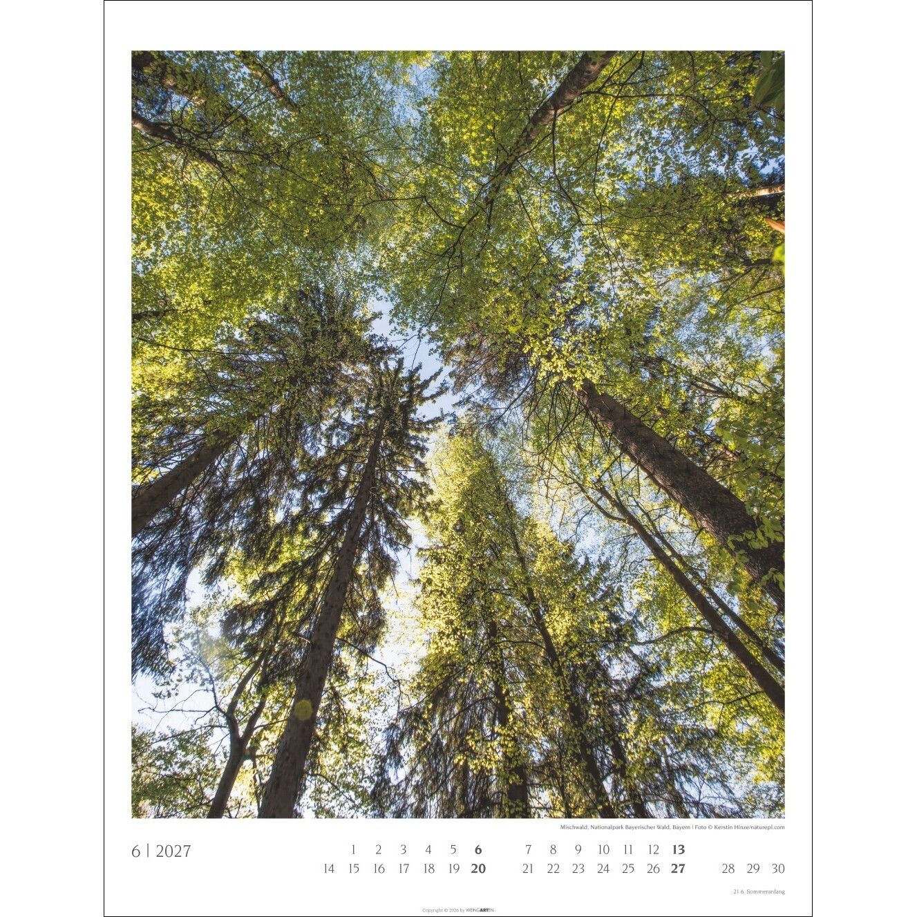 Heimische Wälder - Landschaft & Natur Kalender-969