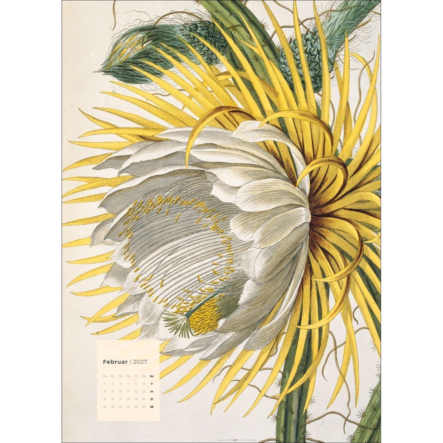 Botanicals - Kunst & Kultur Kalender-738
