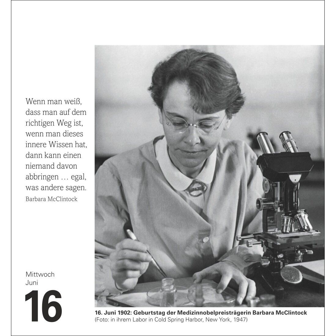 Chronik Tagesabreißkalender-362