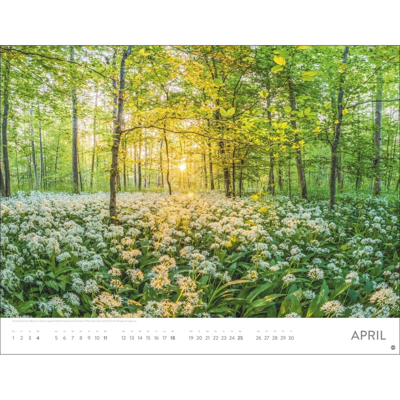 Sonnenzauber Posterkalender-306
