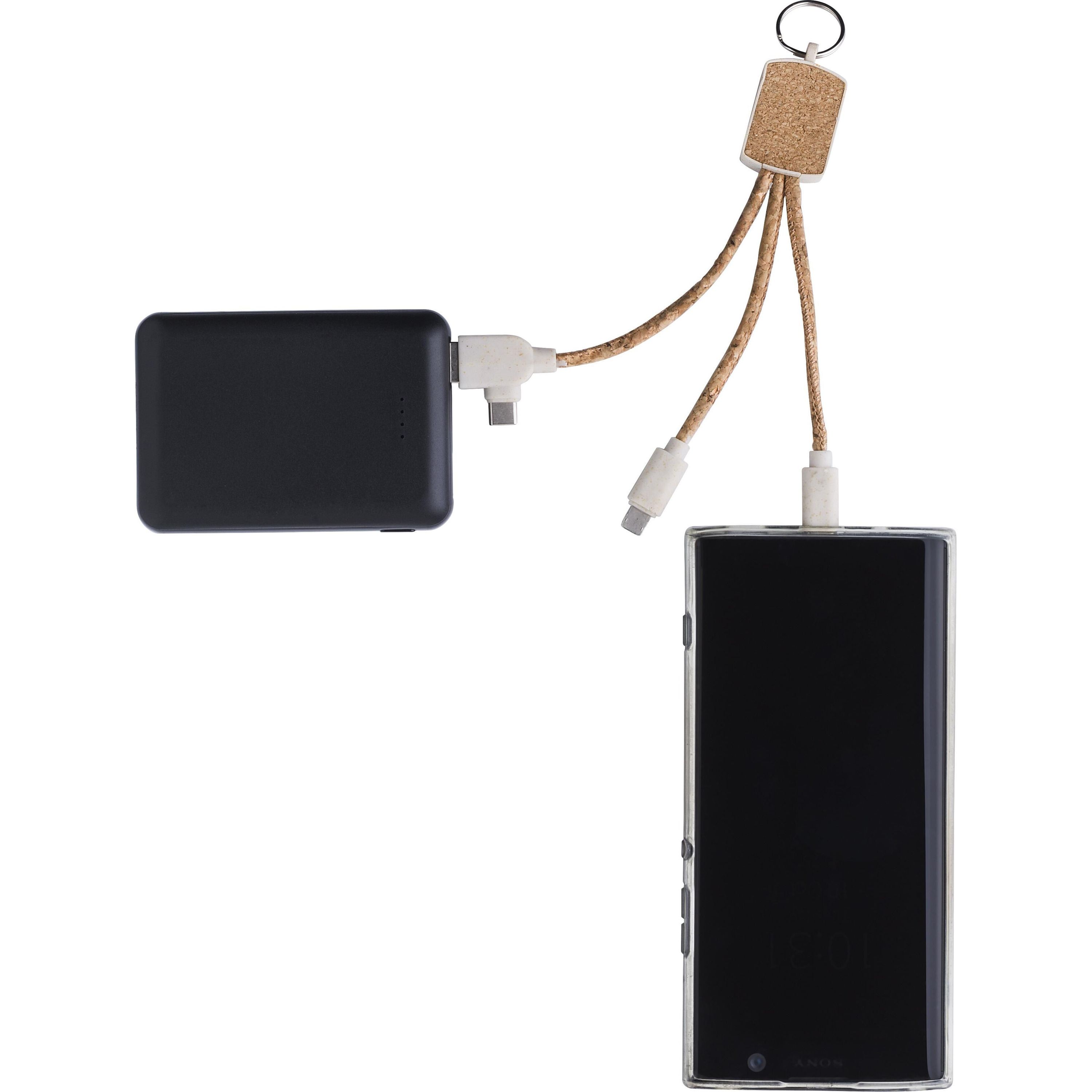 Schlüsselanhänger Landry aus Edelstahl - braun-879