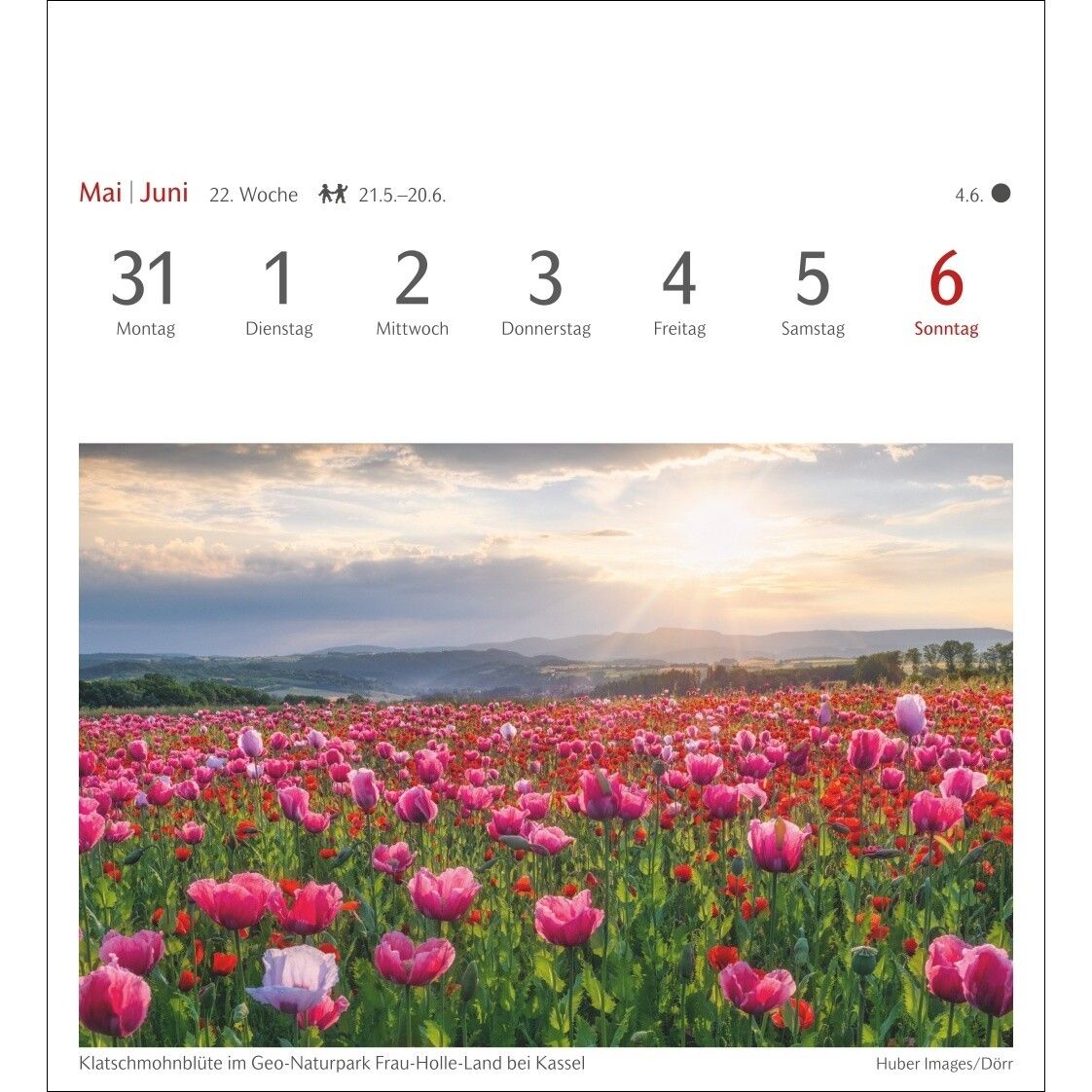 Lichtblicke Postkartenkalender-145