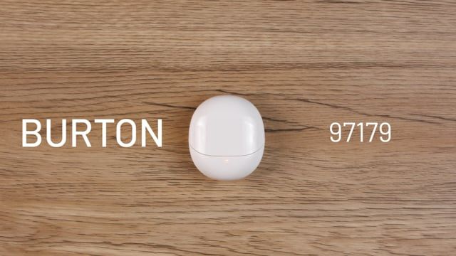 vimeo-1175212899.jpg