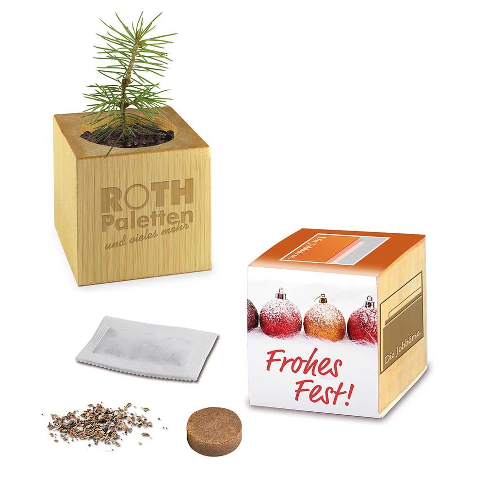Pflanz-Holz Xmas mit Fichtensamen - Fichte, 1 Seite gelasert-123