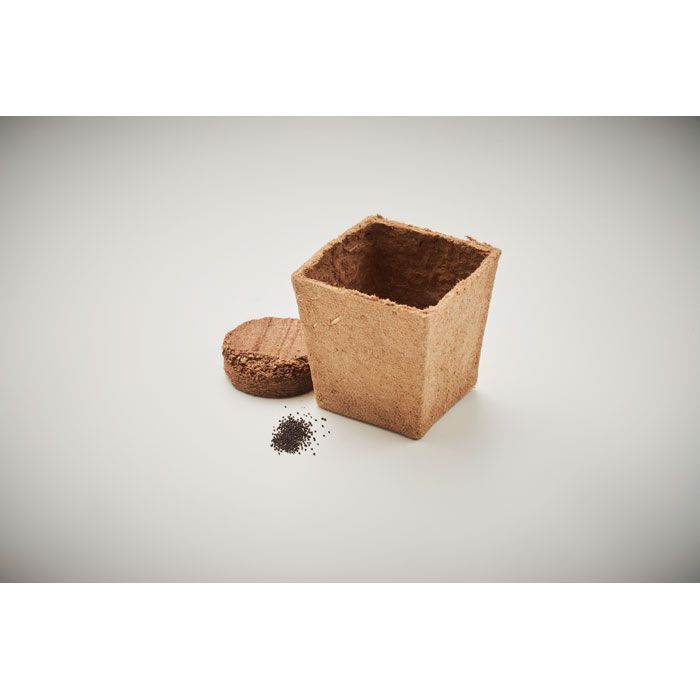 Pflanz-Set Minze MINT KIT - beige-546