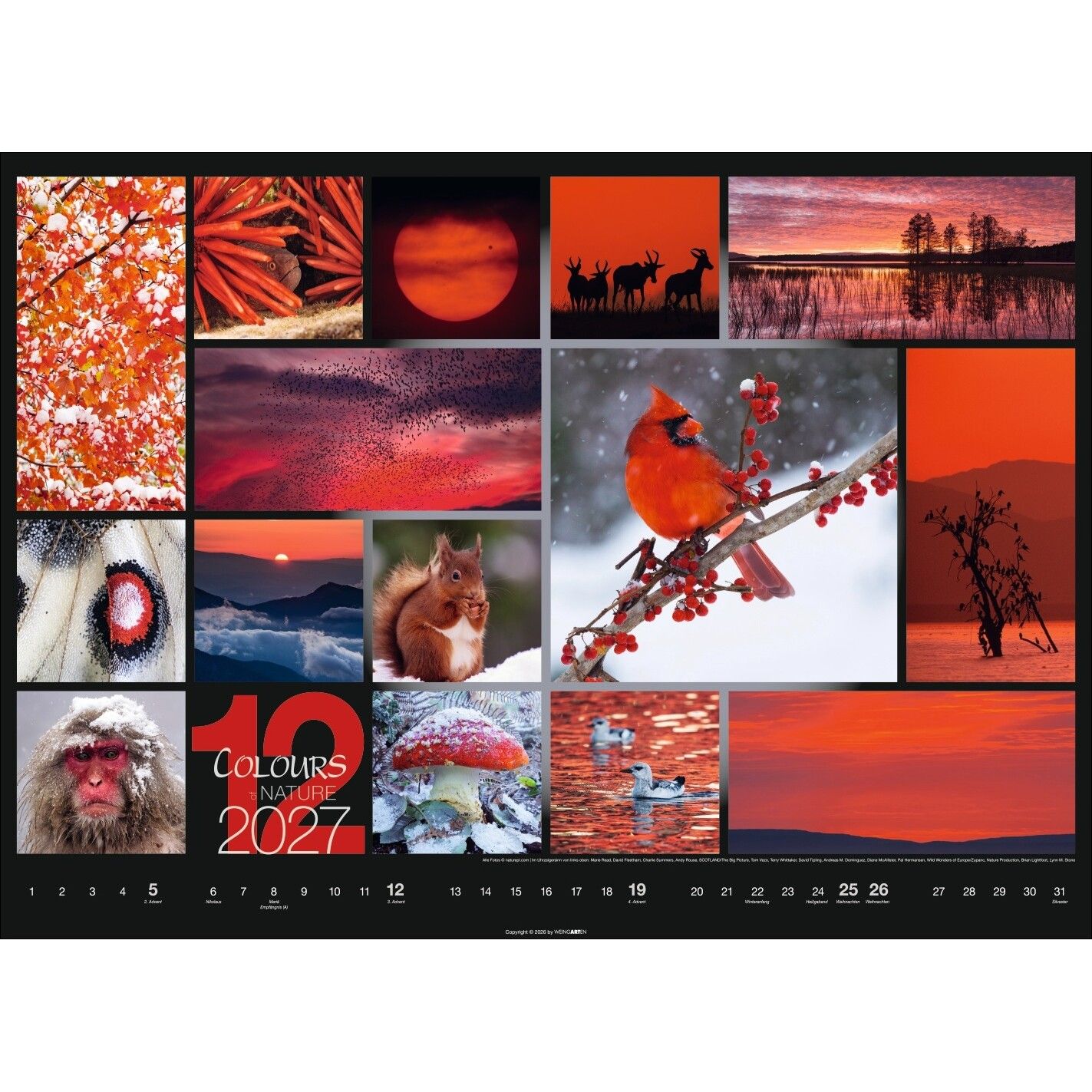 Colours of Nature - Landschaft & Natur Kalender-83