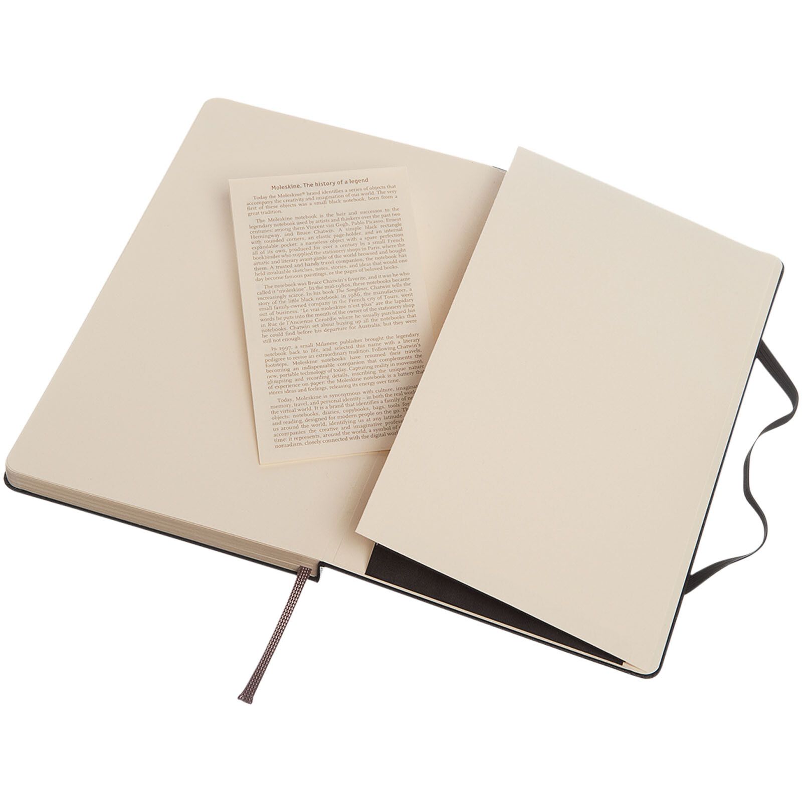 Moleskine Classic Hardcover Notizbuch L – gepunktet - schwarz-652