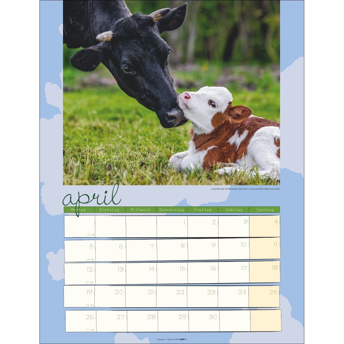 Kuh Kalender-328