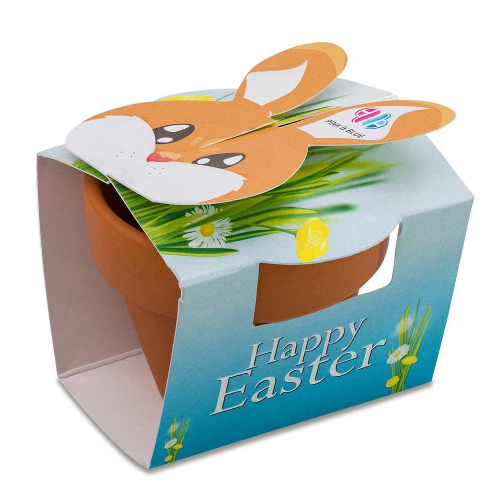 Tontöpfchen-Hase mit Samen - Eierbaumsamen inkl. Tampondruck-761