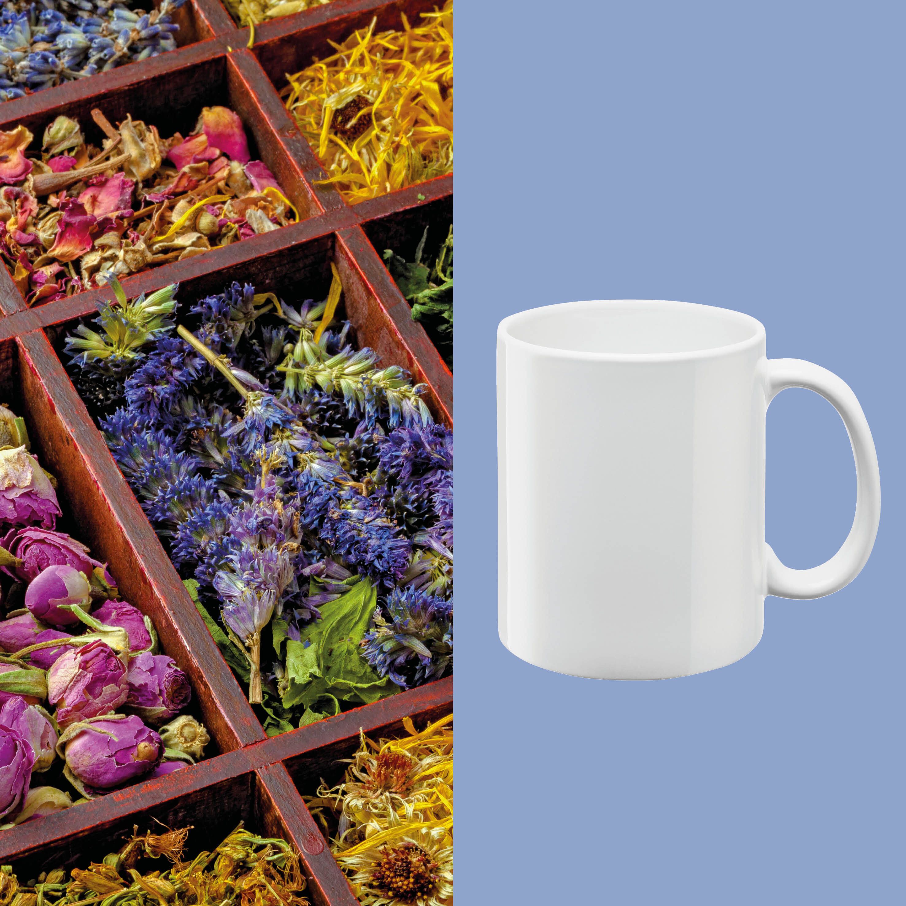 Carina Steinzeugtasse 300 ml - weiß-414