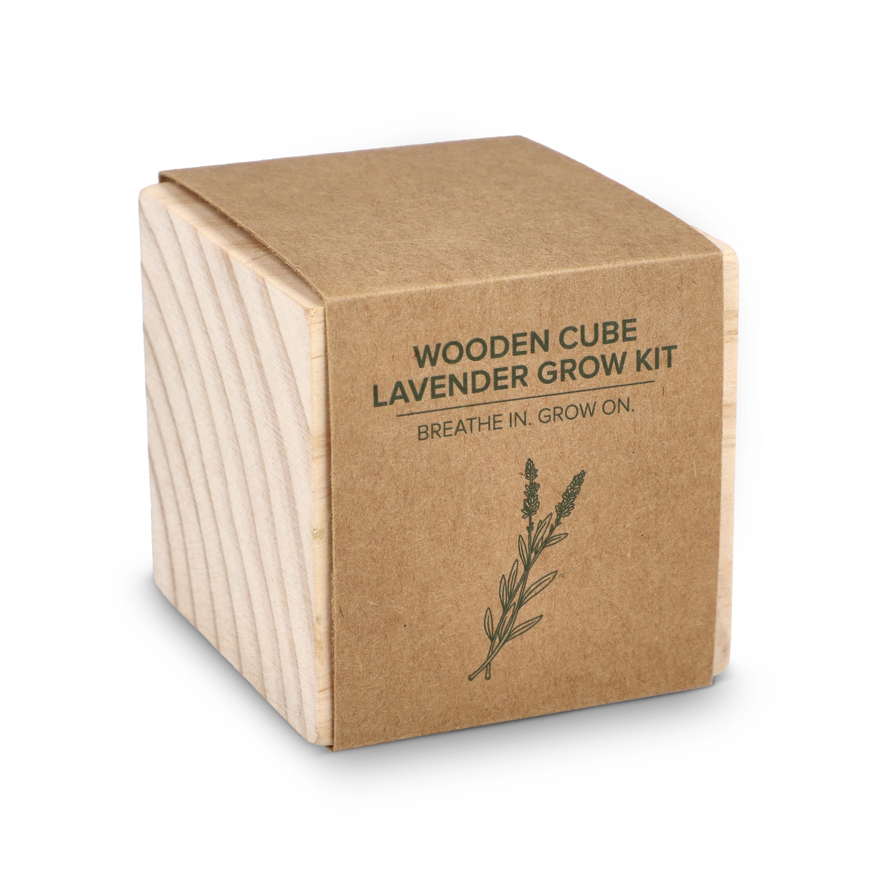 FSC-Holzpflanzgefäß-Set – Lavendel - natur-565