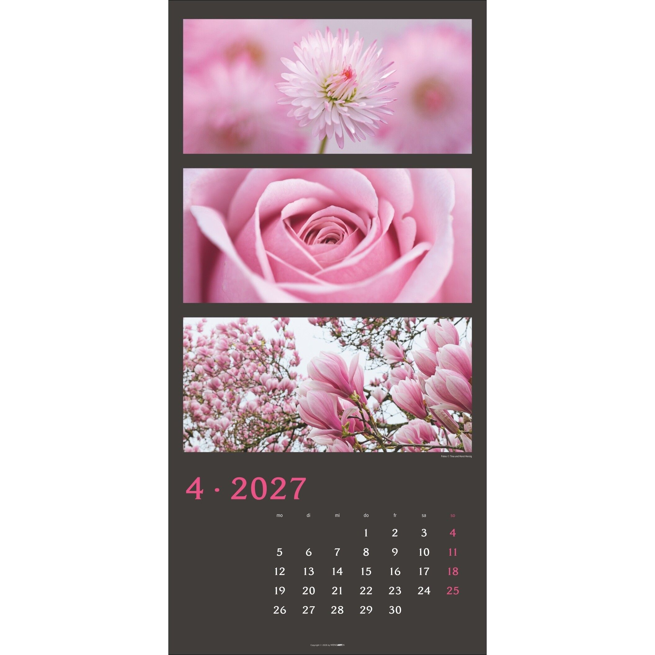Die Farben der Natur - Landschaft & Natur Kalender-156
