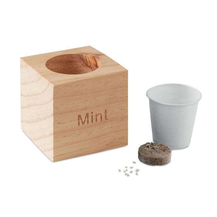 Kräuterpflanz-Set "Minze'' MENTA - holz-915
