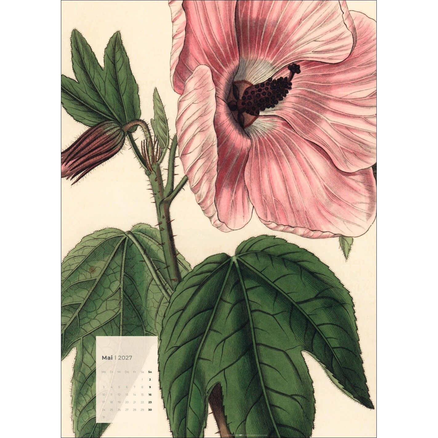 Botanicals - Kunst & Kultur Kalender-922