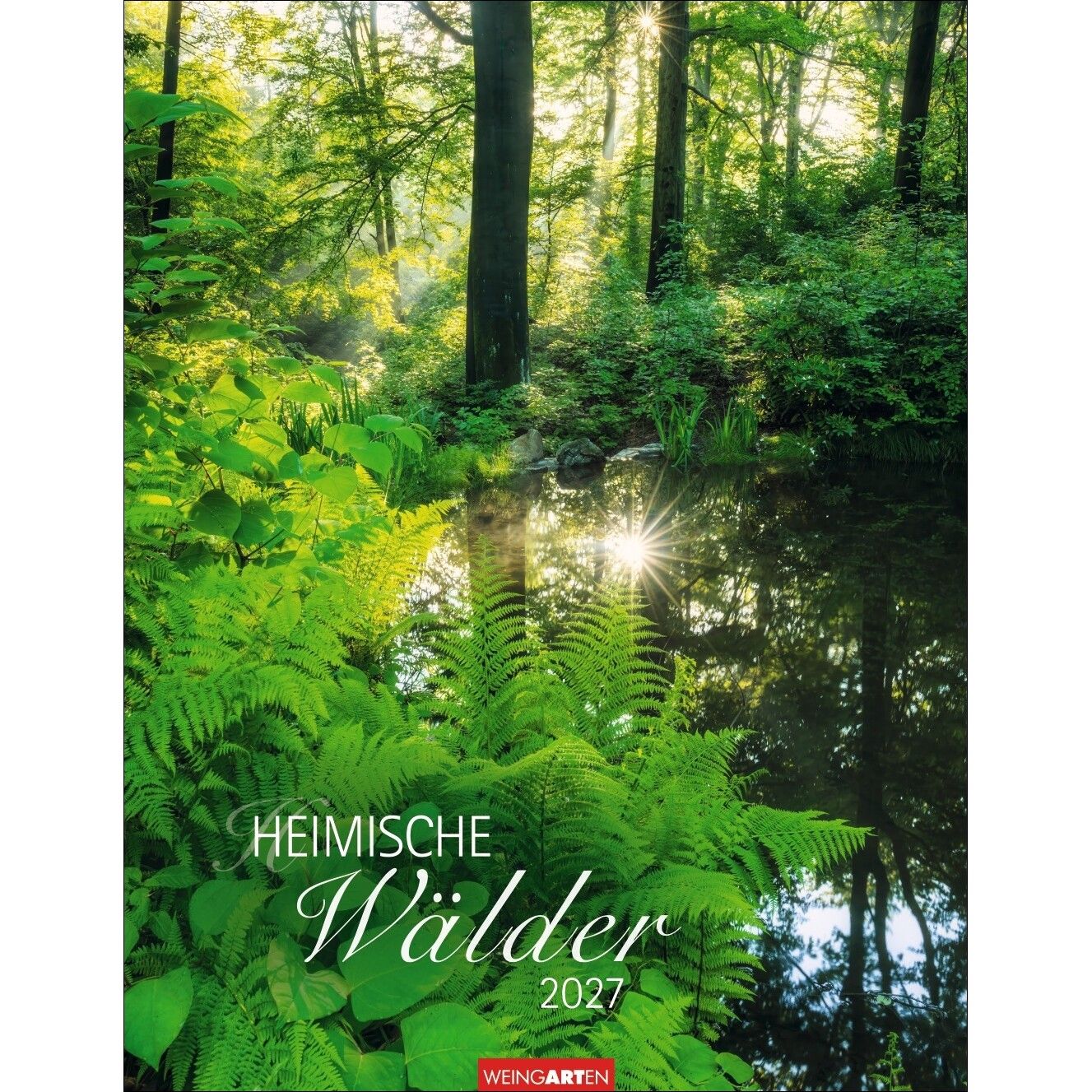 Heimische Wälder - Landschaft & Natur Kalender-948