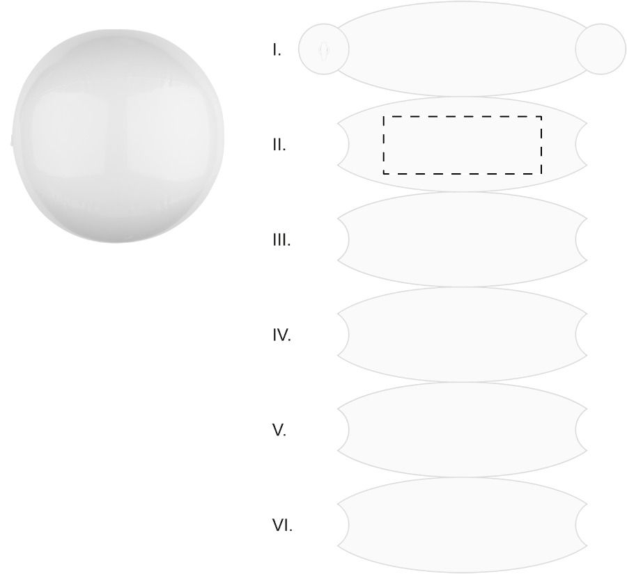 Veredelungsposition Segment 2