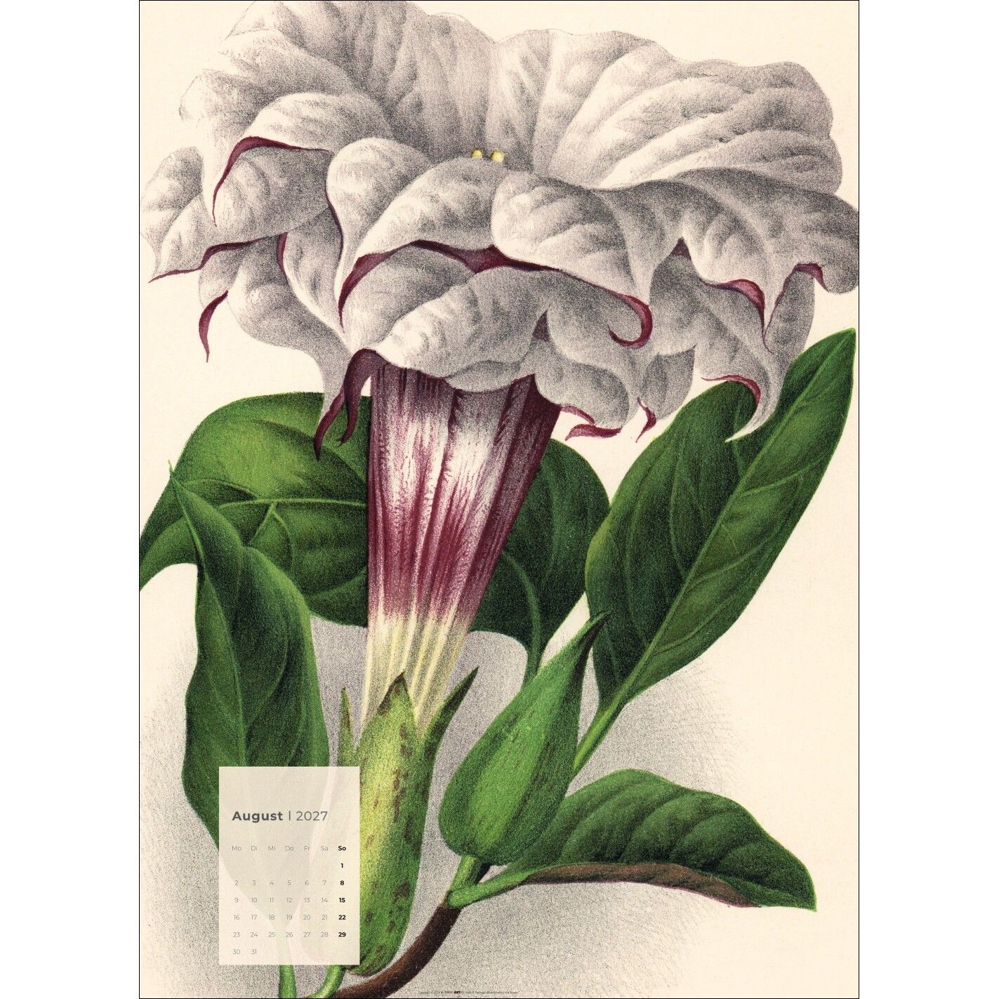 Botanicals - Kunst & Kultur Kalender-632